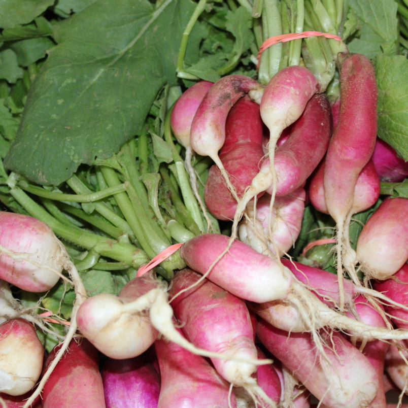 Root Veg