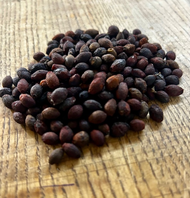 Dried