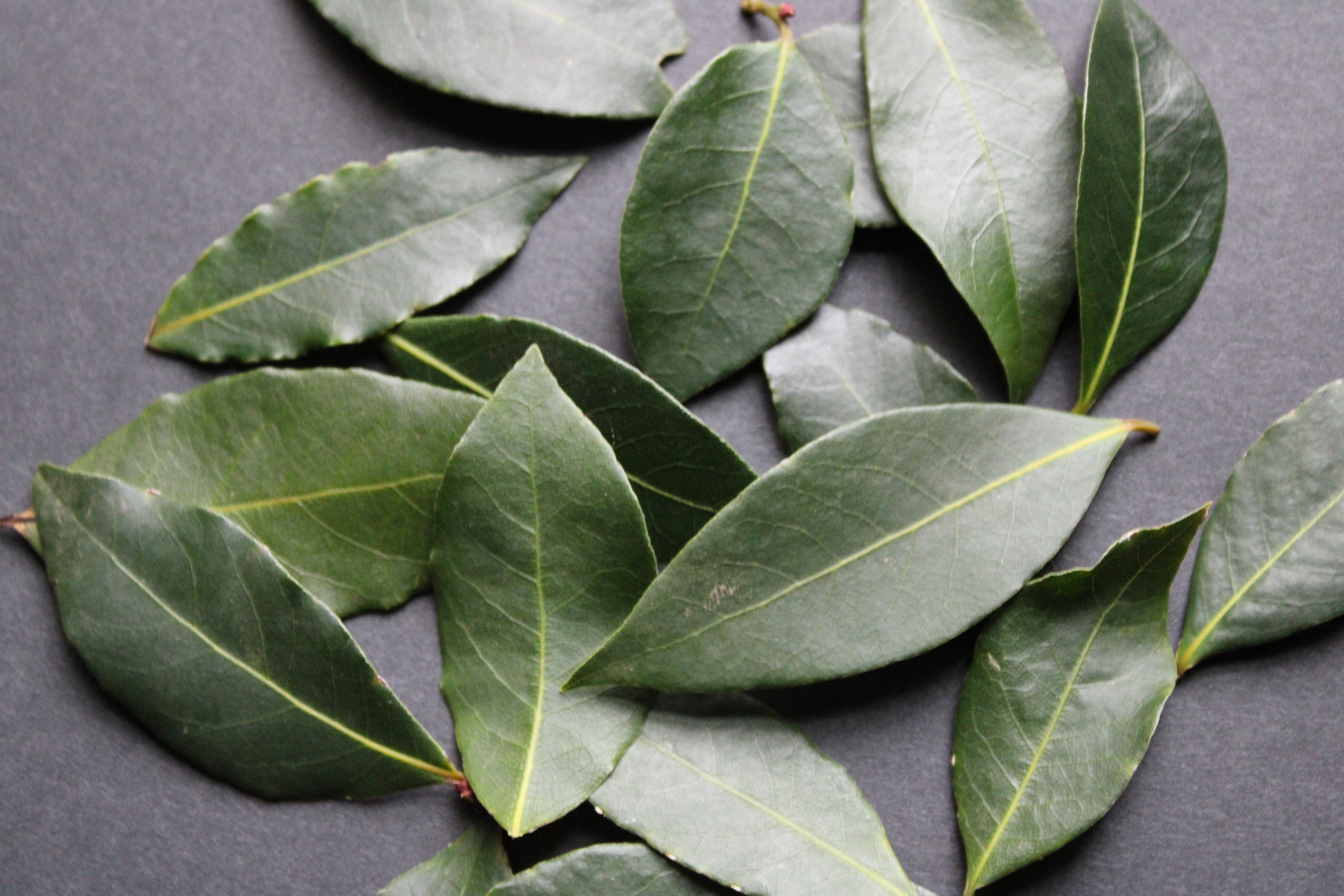 bay 1 Bay leaves