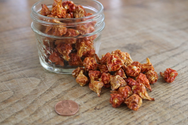 Dried biquinho peppers - Image 2