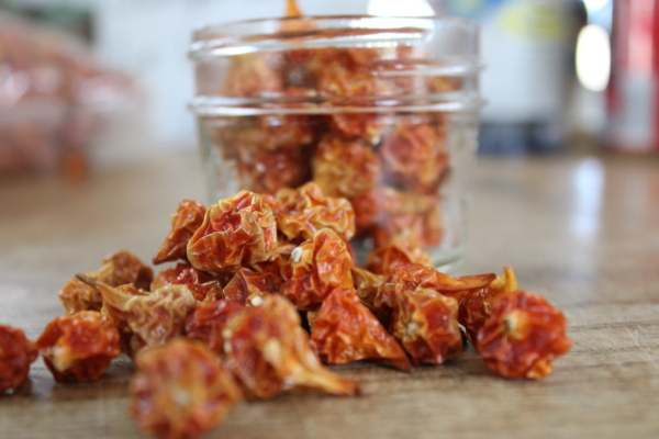 Dried biquinho peppers