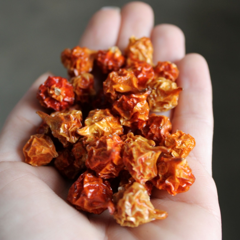 Dried biquinho peppers