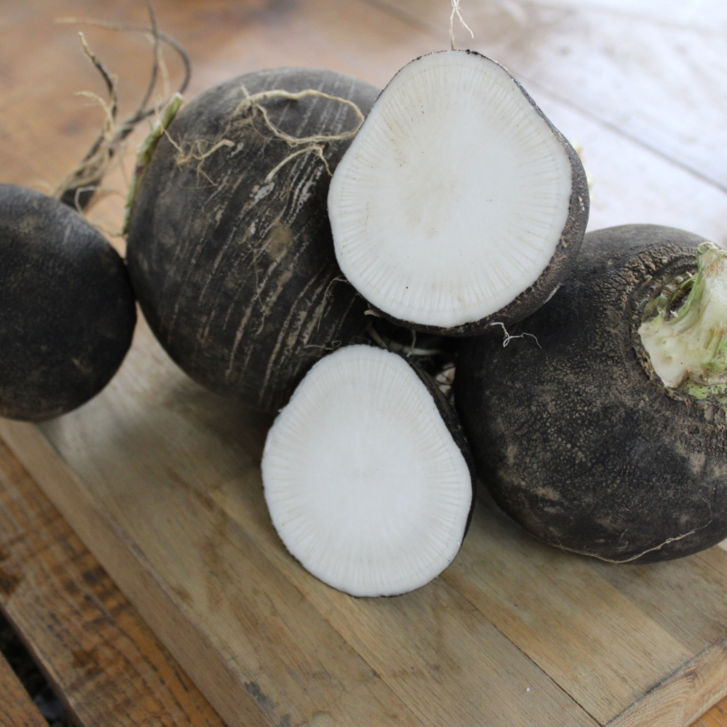 Spanish black radishes
