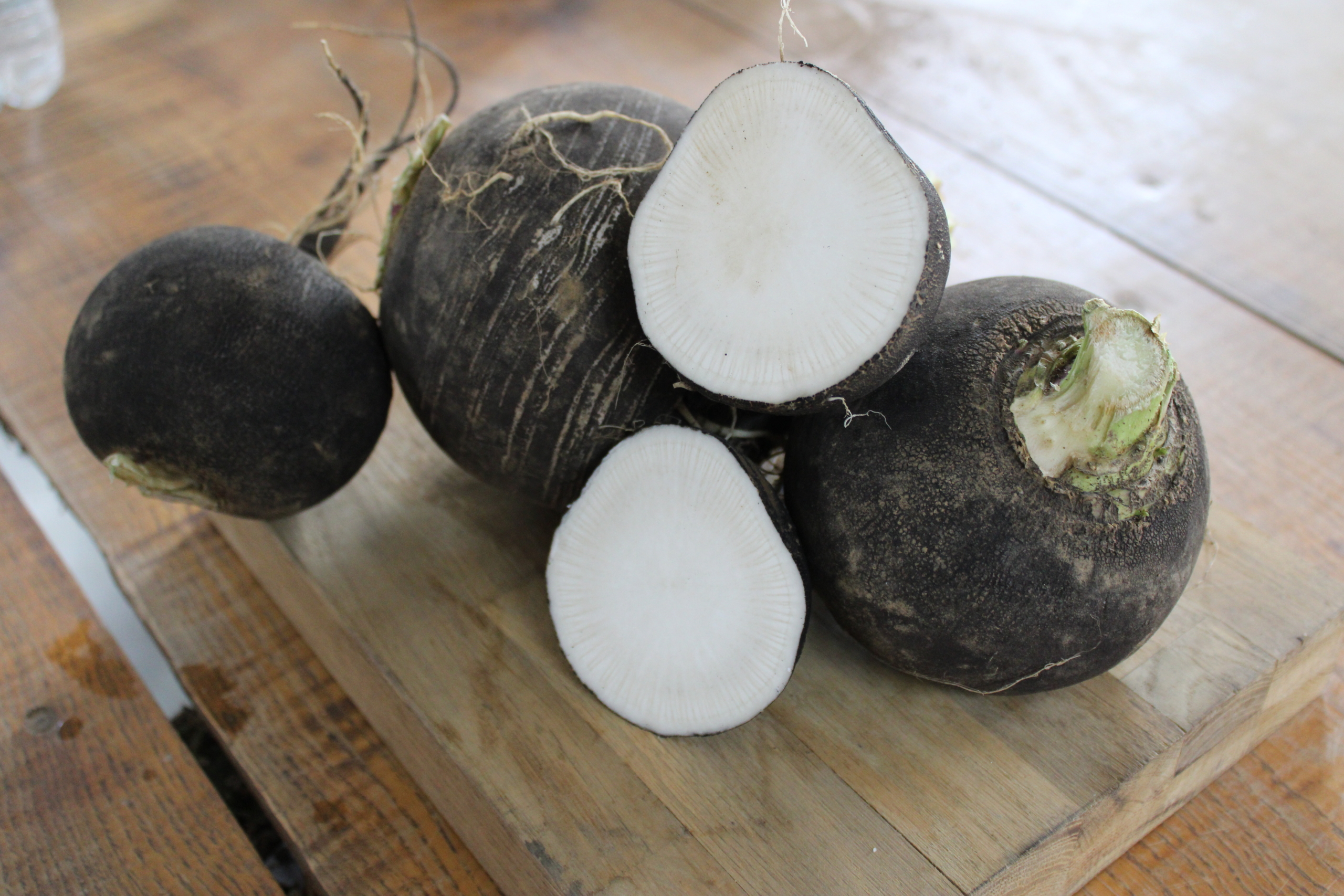 blk sp2 Spanish black radishes