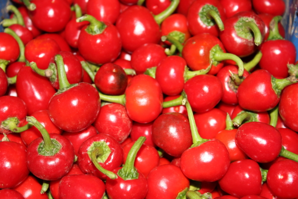 Calabrese peppers