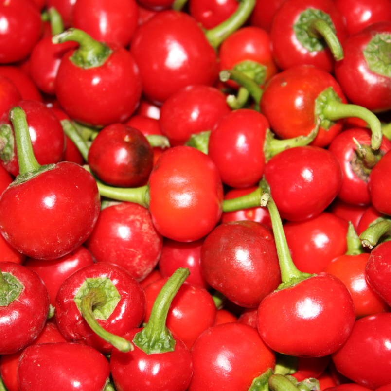 Calabrese peppers