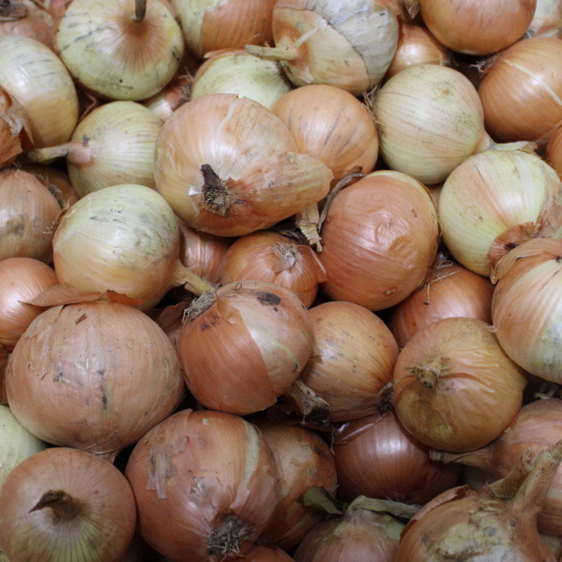 Onions/Allium