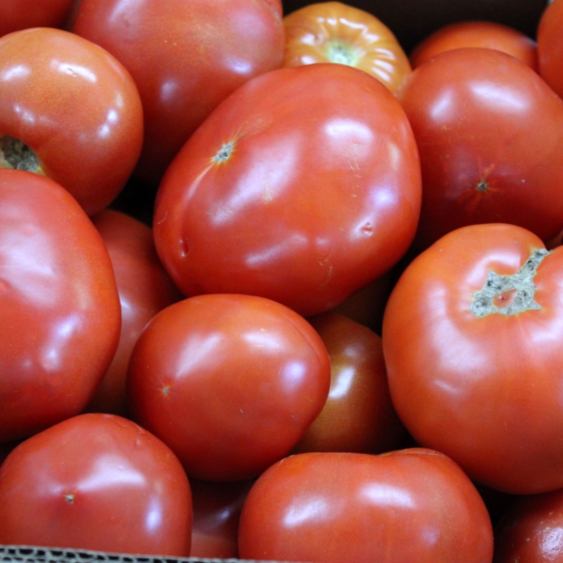 Canning tomatoes