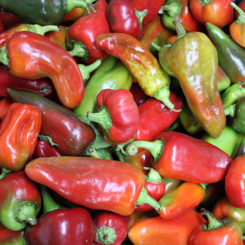 Cubanelle peppers