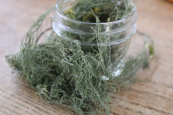Dried dill