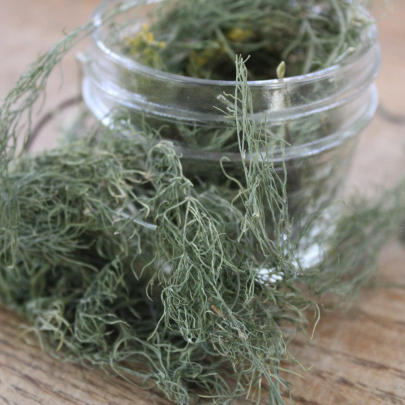 Dried dill