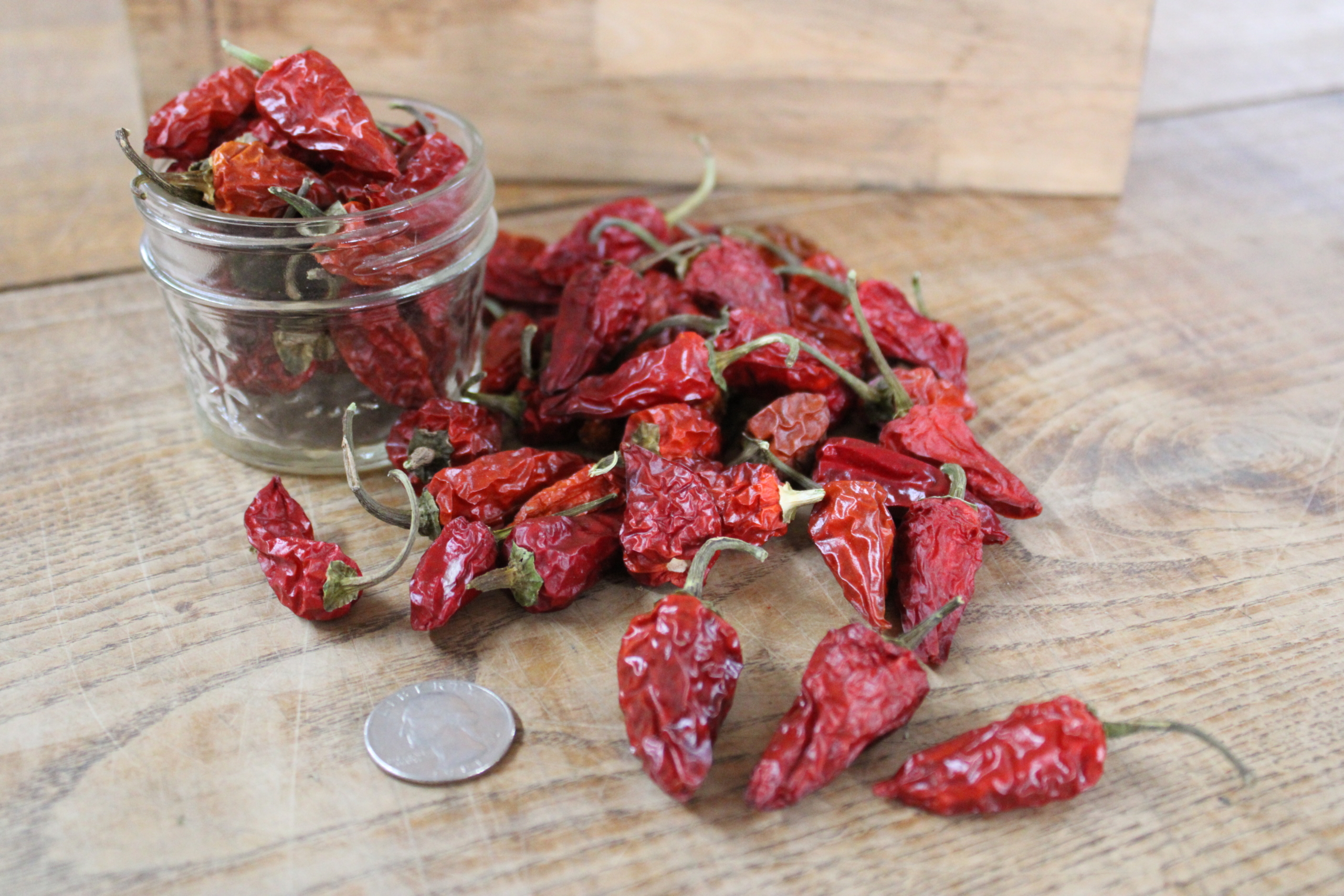 dr fish pep Dried fish peppers