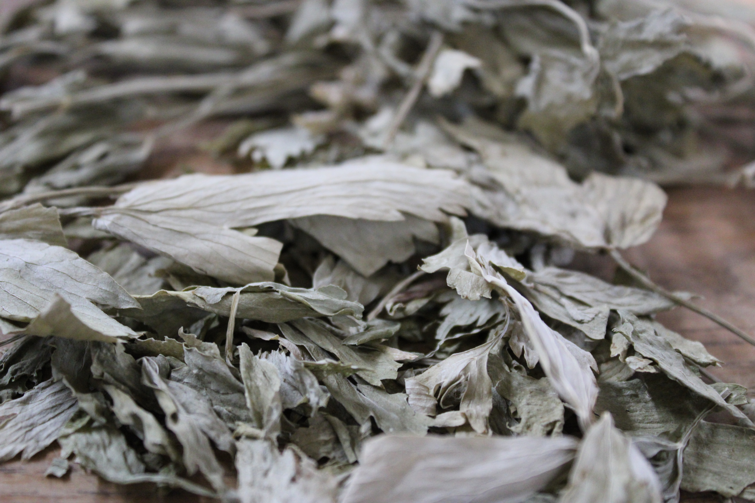 dried lovage Dried lovage