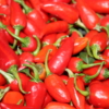 Fish peppers