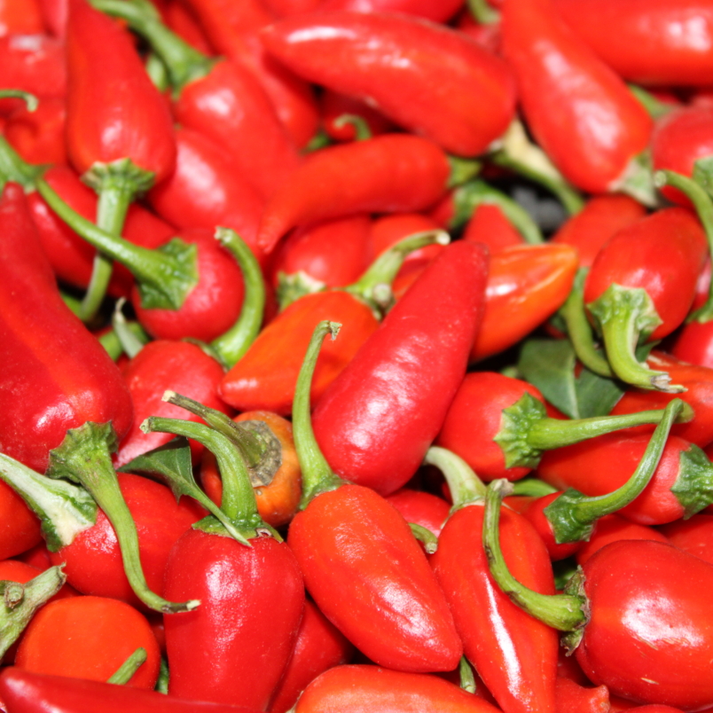 Fish peppers