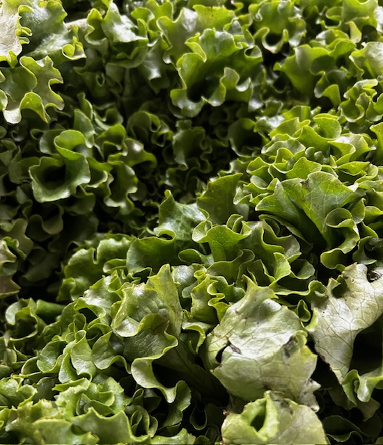 Greens