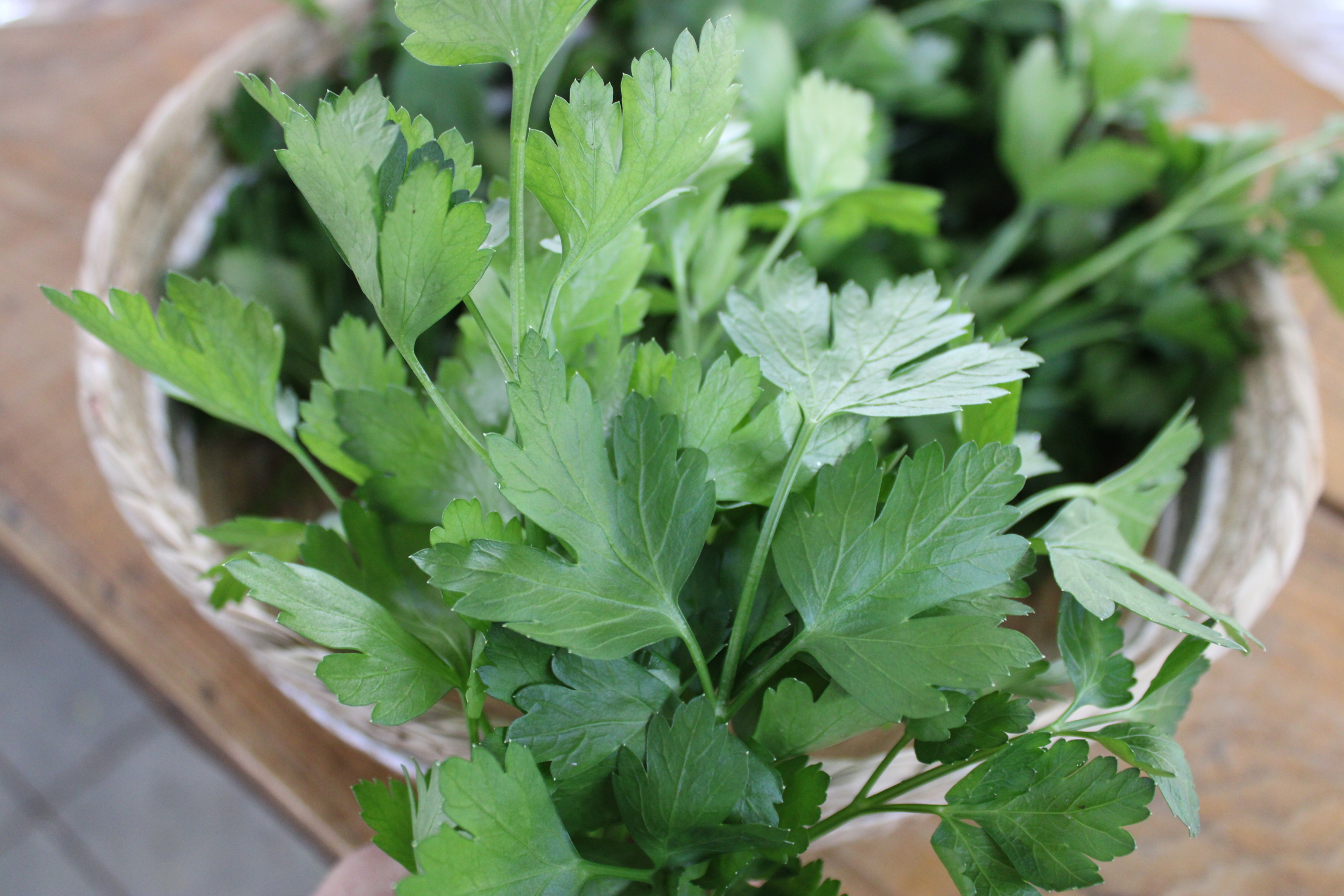 it pars1 Italian parsley
