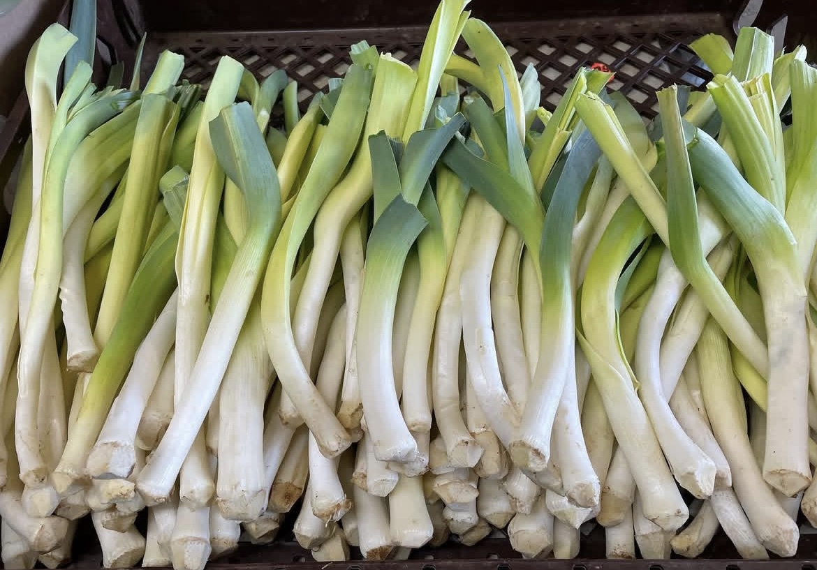 Screenshot Screenshot