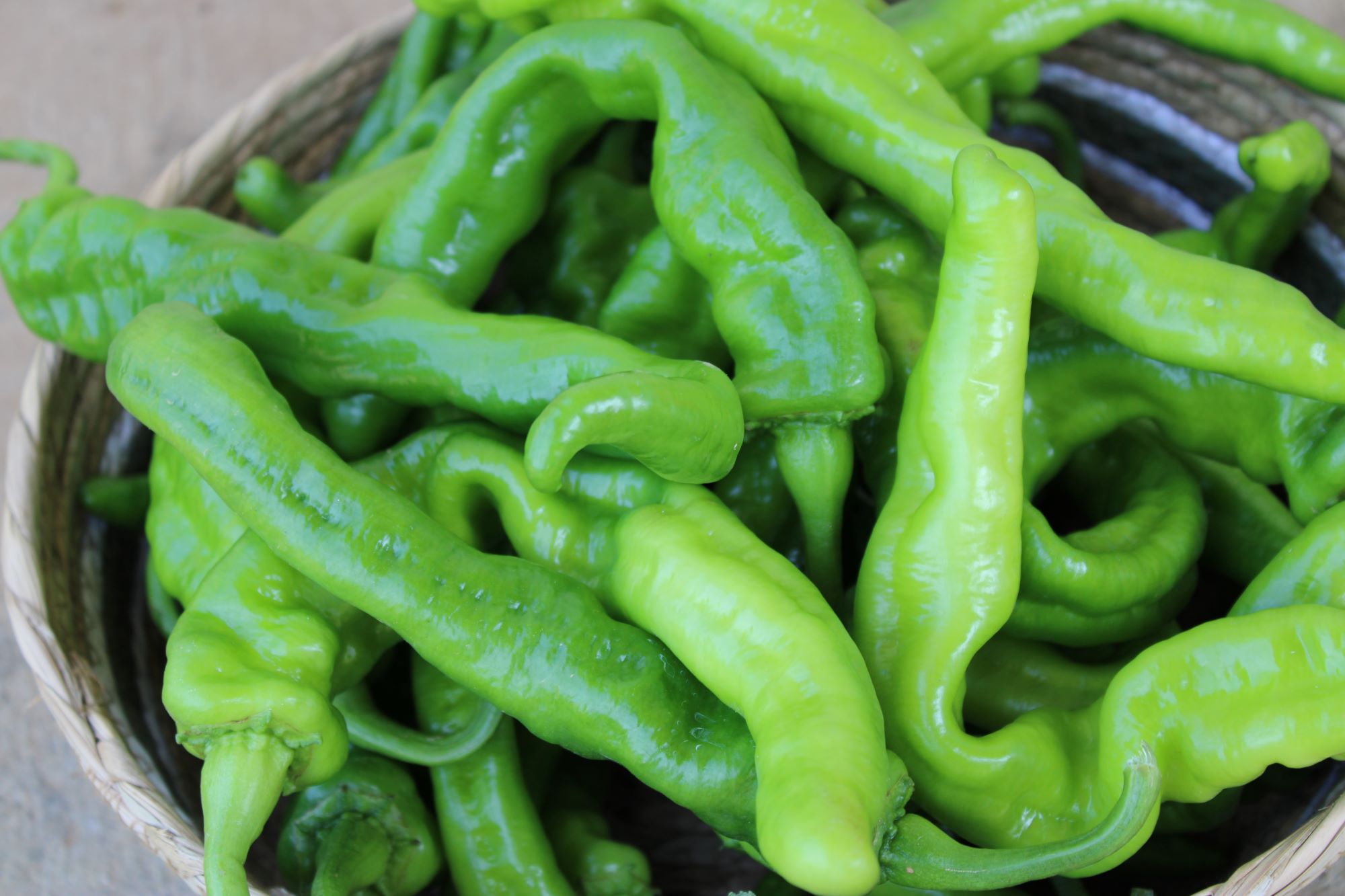 long hots new Long-hots peppers