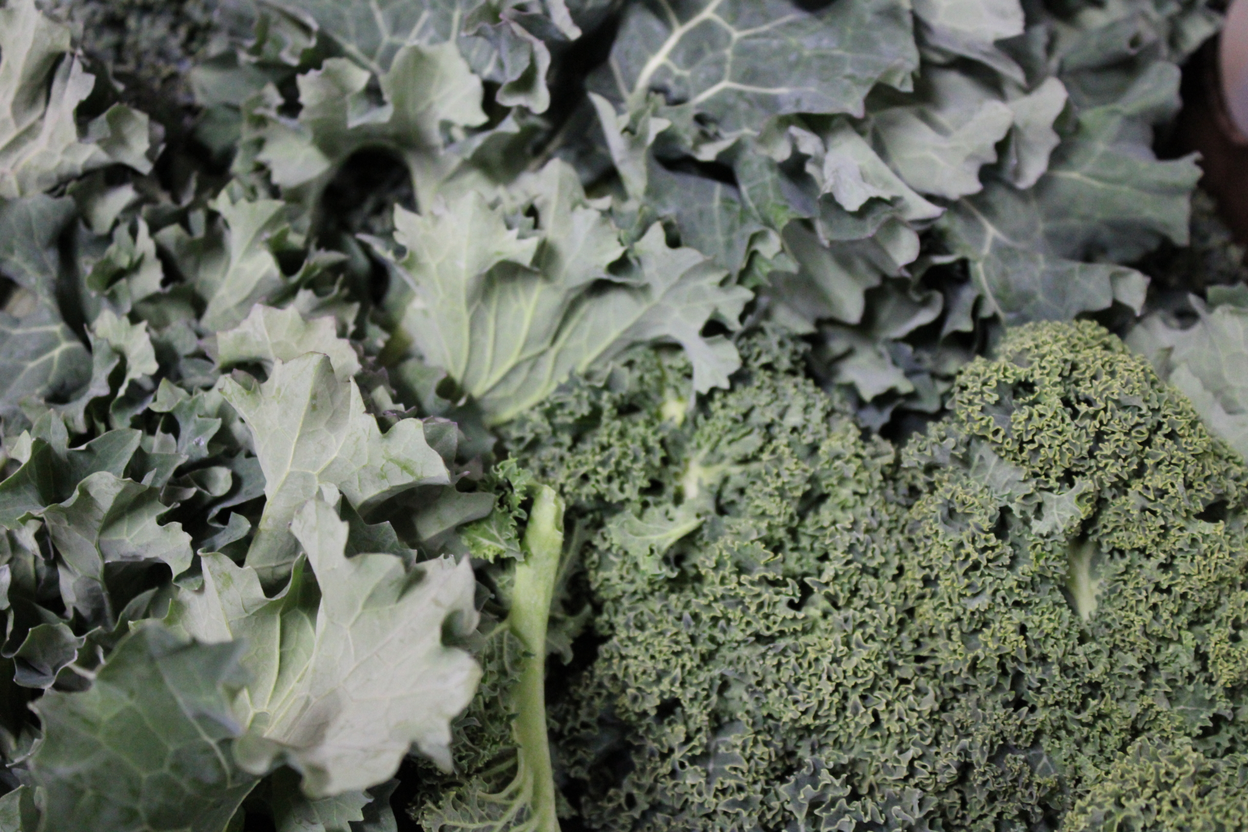 mixed kale Curly kale