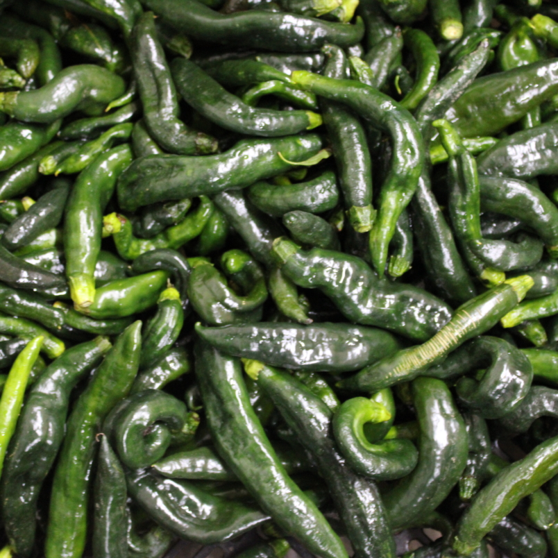 Pasilla bajio peppers