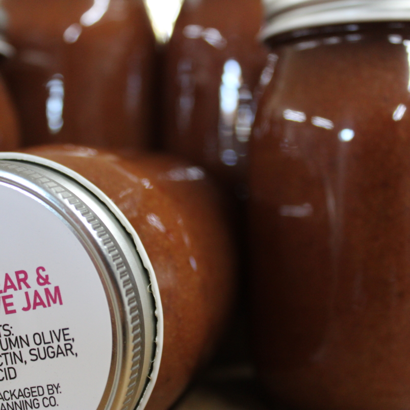 Magness pear & autumn olive jam