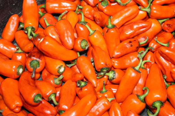 Pippins Golden Honey peppers