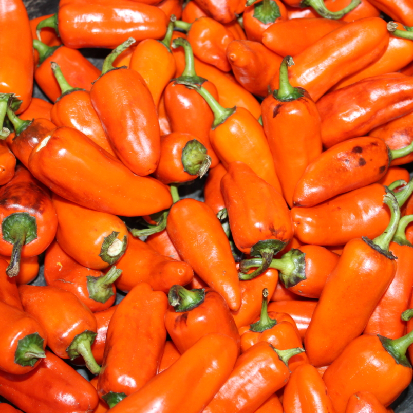 Pippins Golden Honey peppers