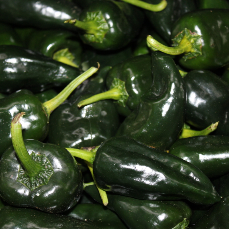 Poblano peppers