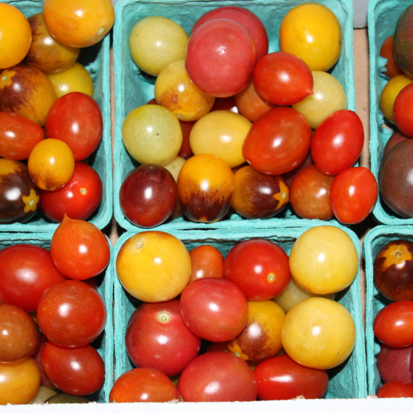 Tomatoes