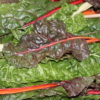 Rainbow chard