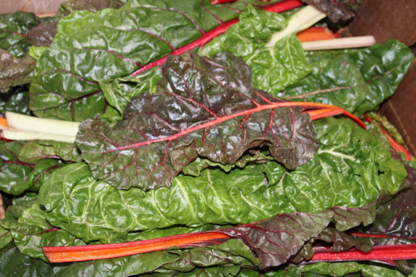 Rainbow chard