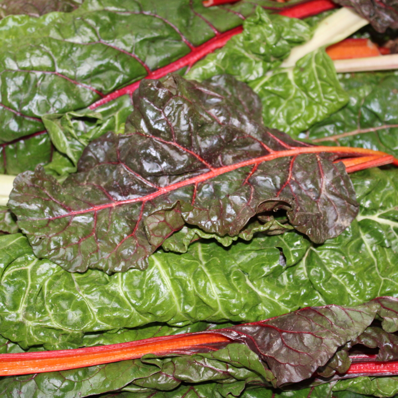 Rainbow chard
