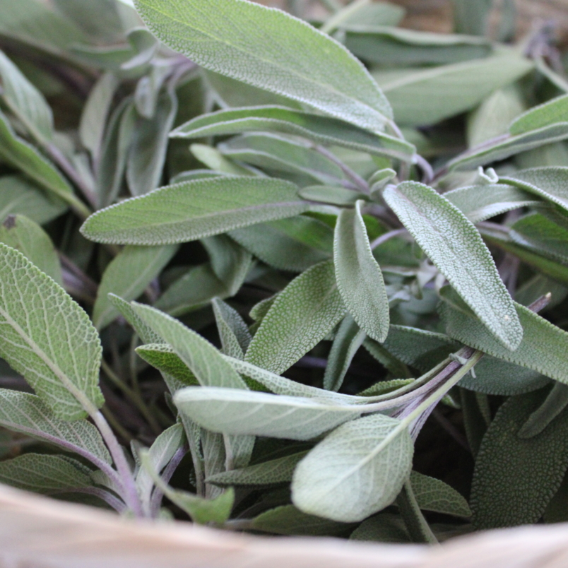 Sage