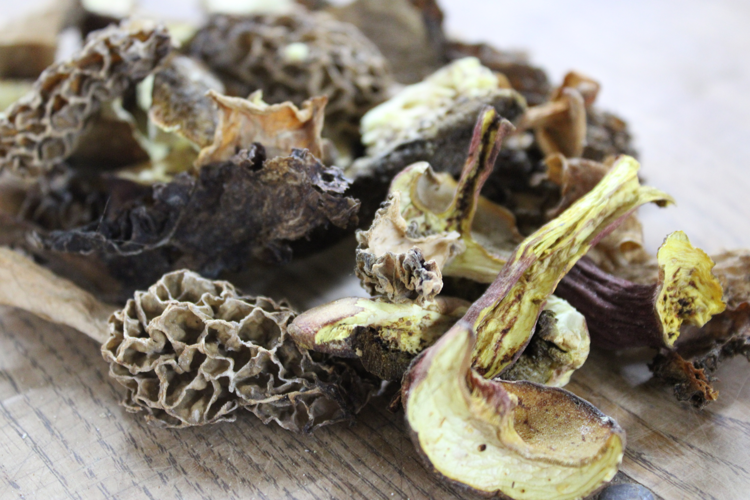 wild mush Dried wild mushrooms