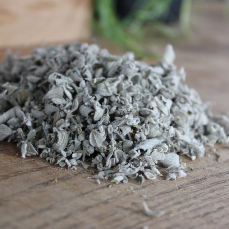 Dried za'atar marjoram