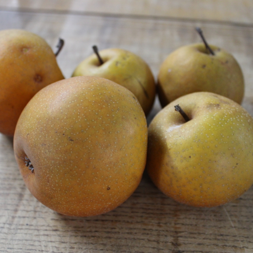 Asian pears
