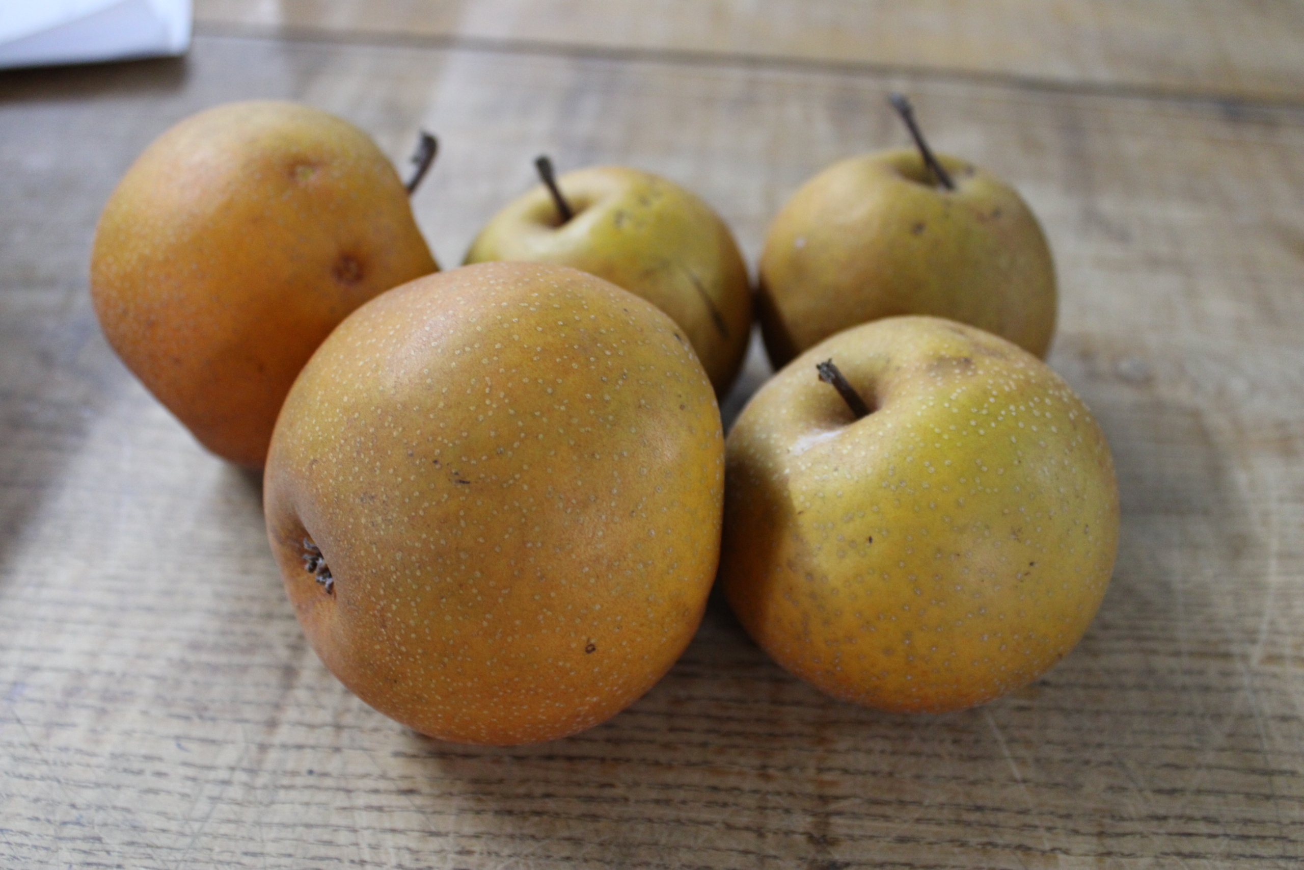 asian pear 2 Asian pears