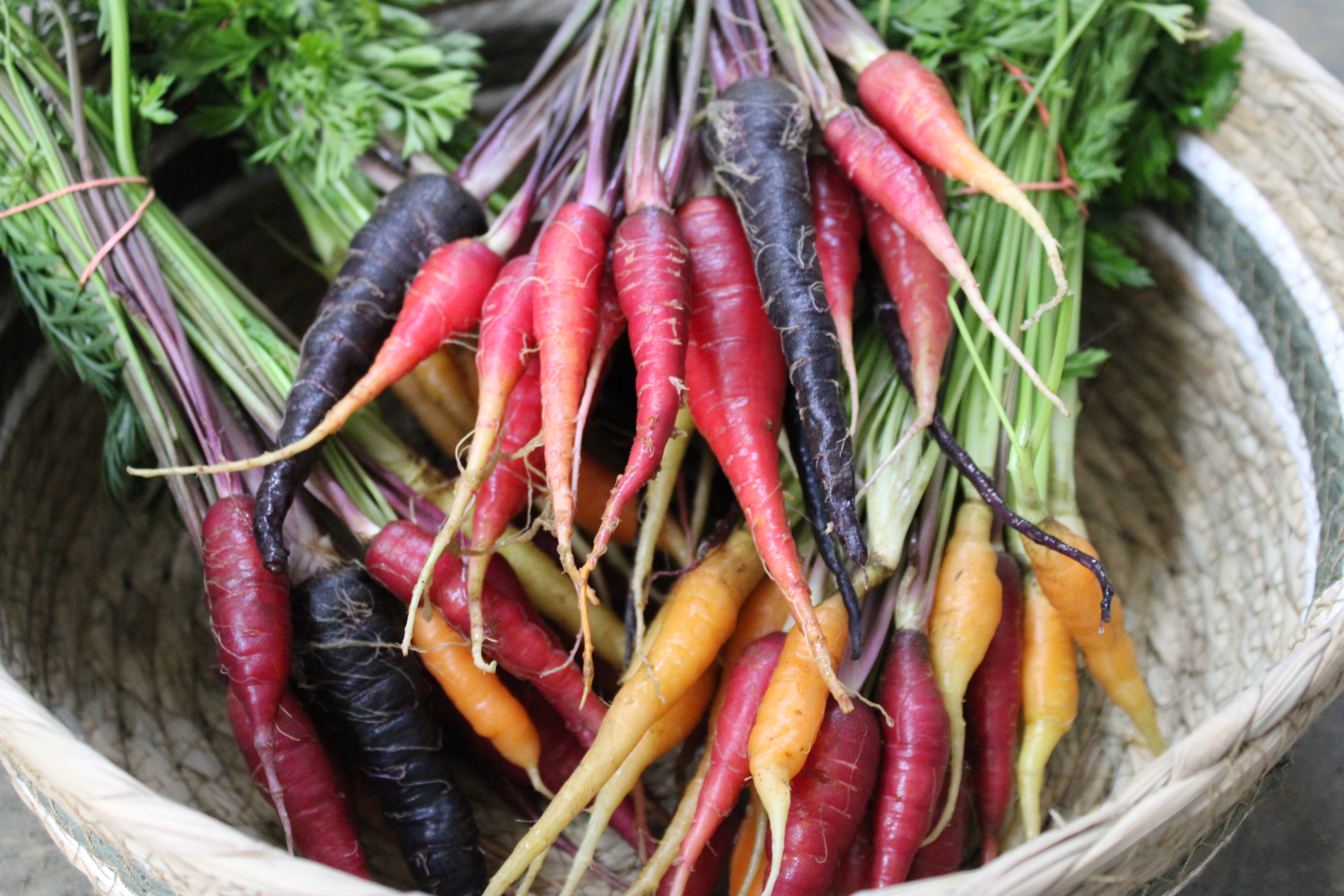 baby carrots Baby carrot mix