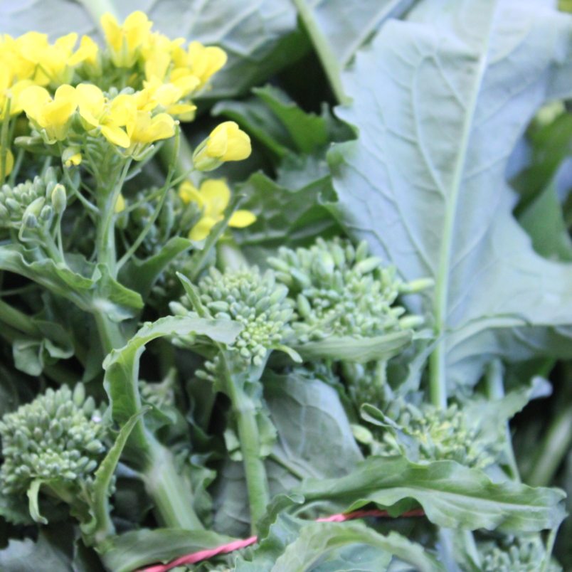 Broccoli rabe