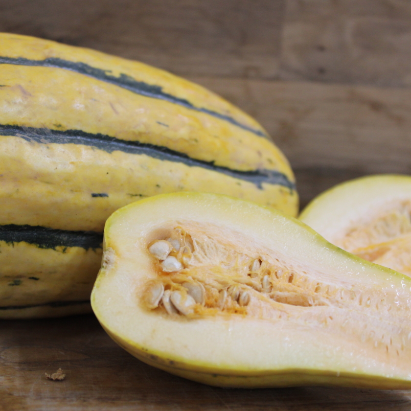 Delicata squash