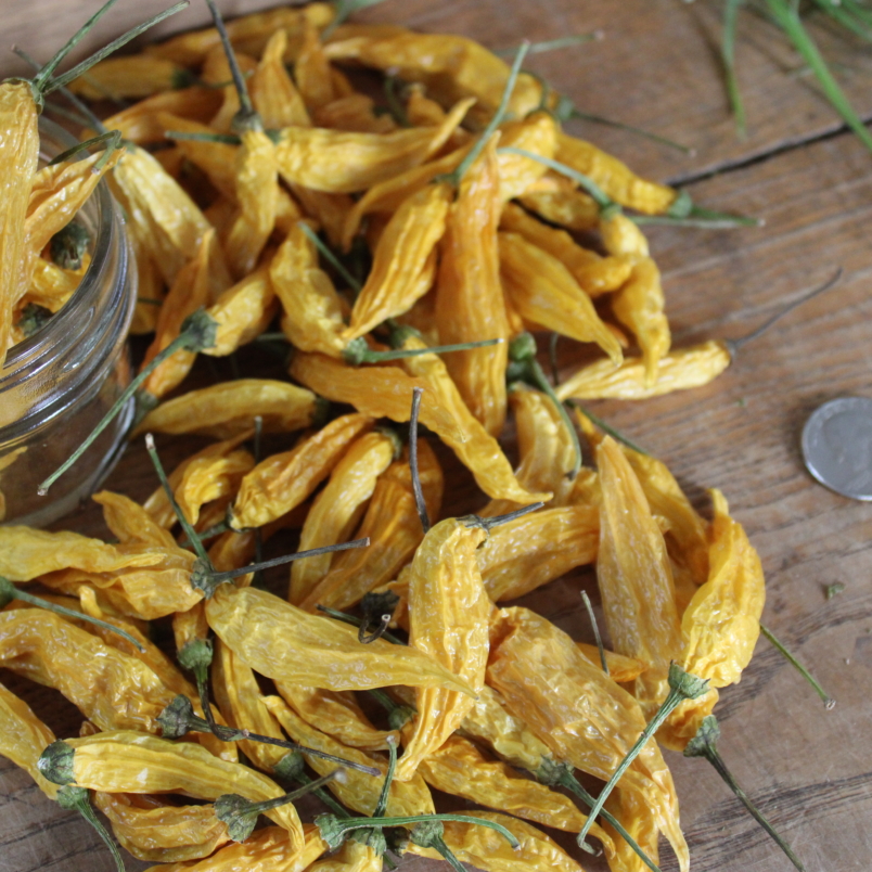 Dried lemon drop peppers