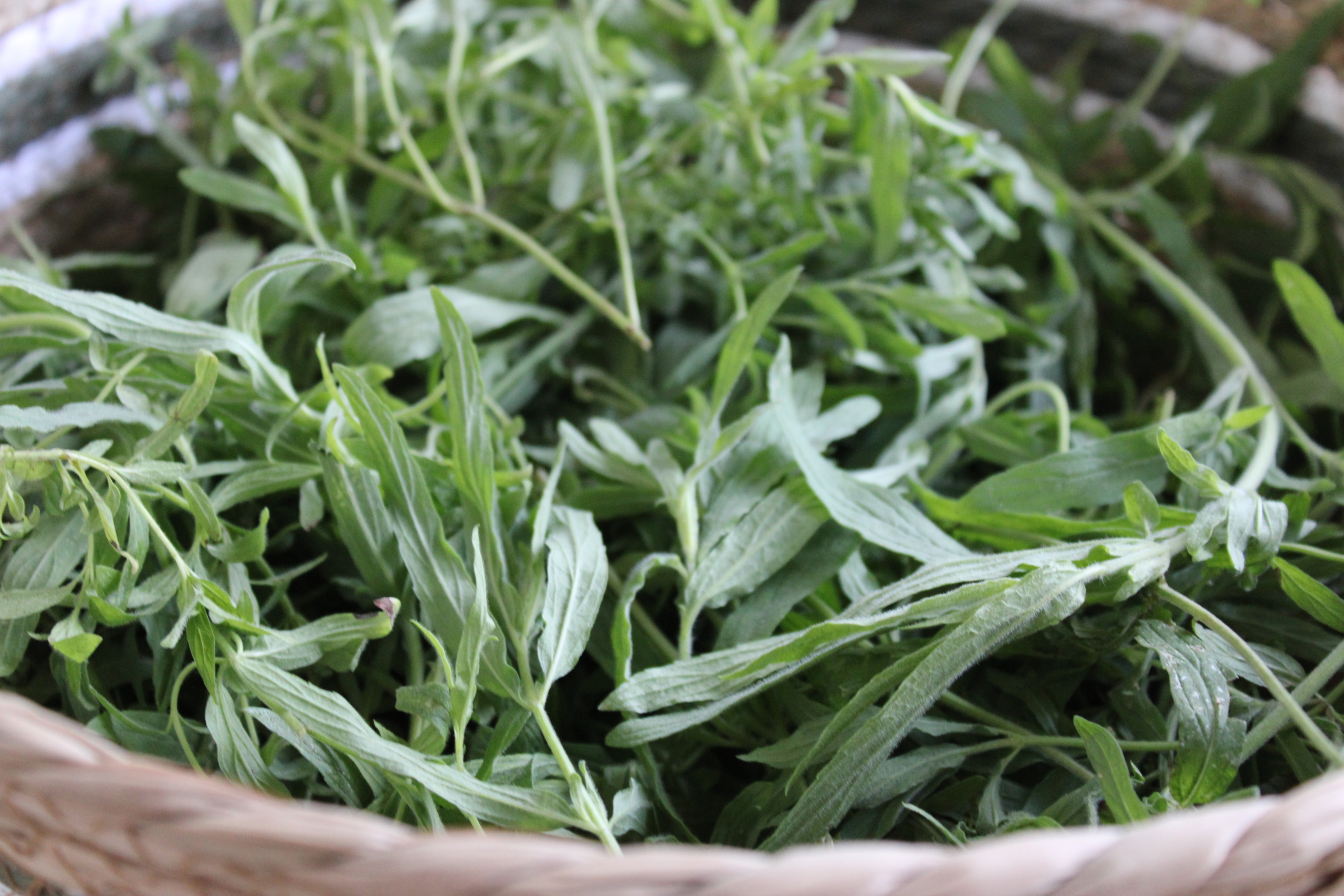 habek mint Habek mint