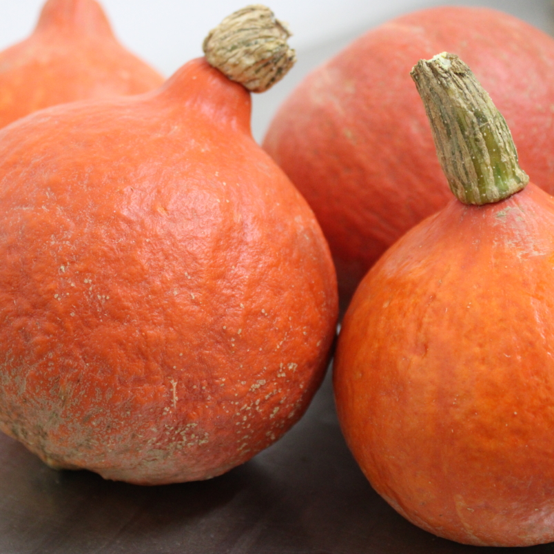 Kuri squash