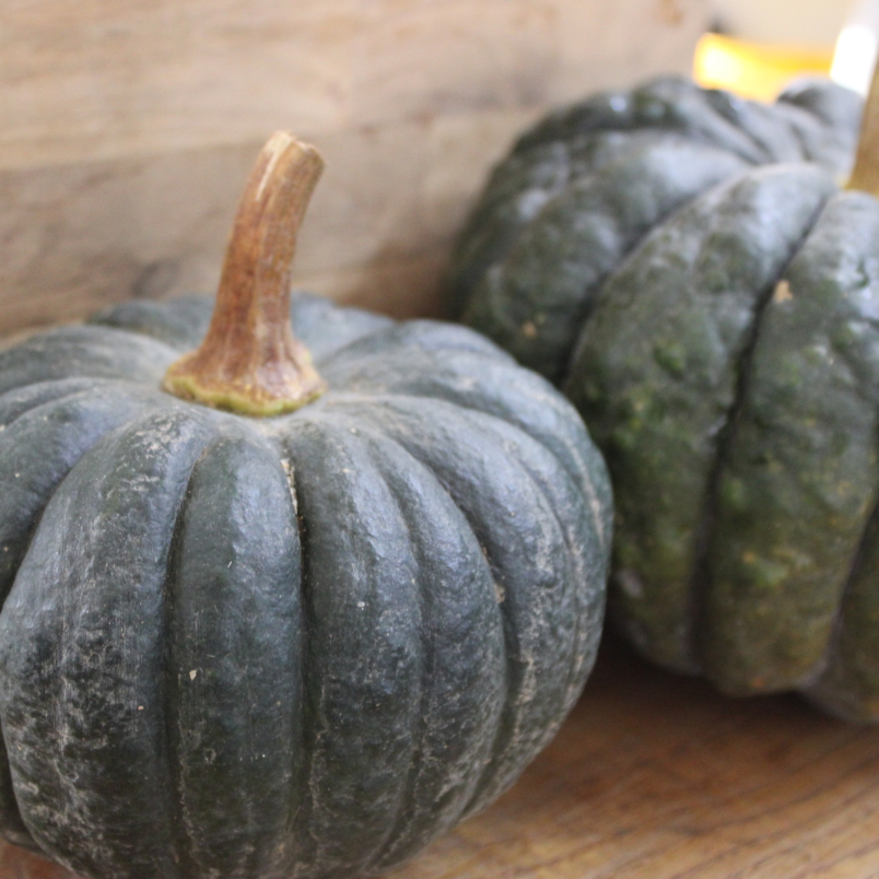 Acorn squash