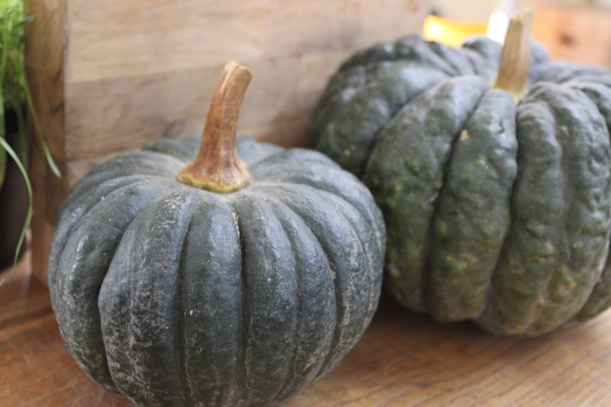 new acorn sq Acorn squash