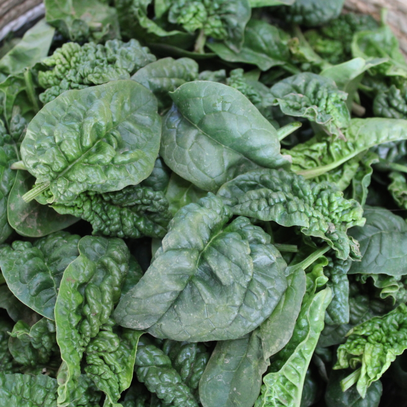 Baby spinach