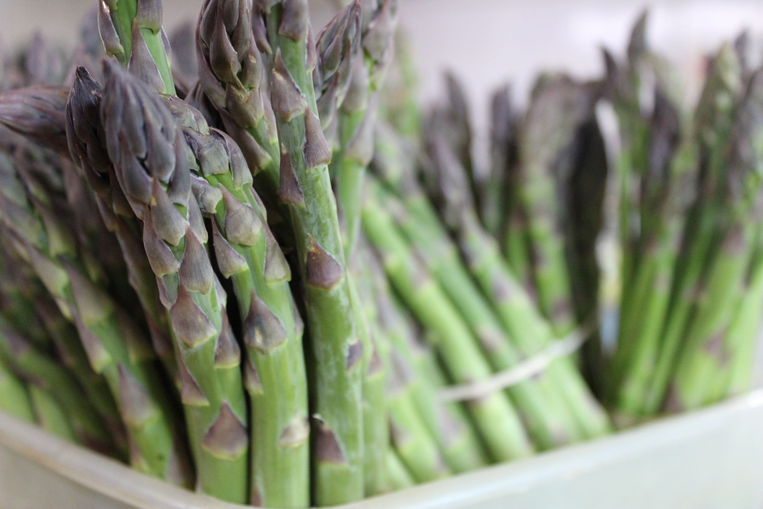asparagus Asparagus