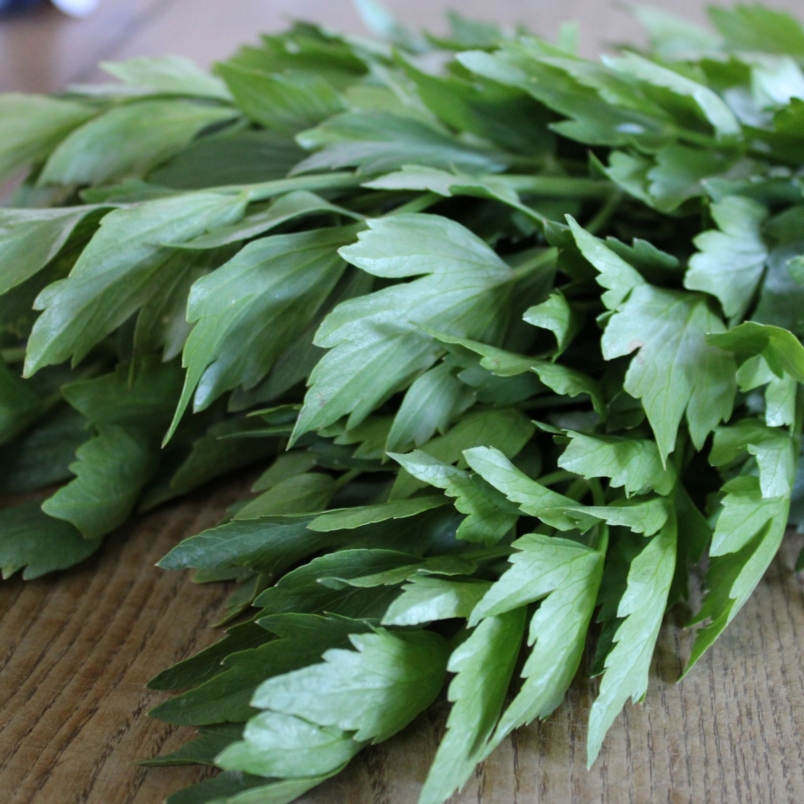 Lovage