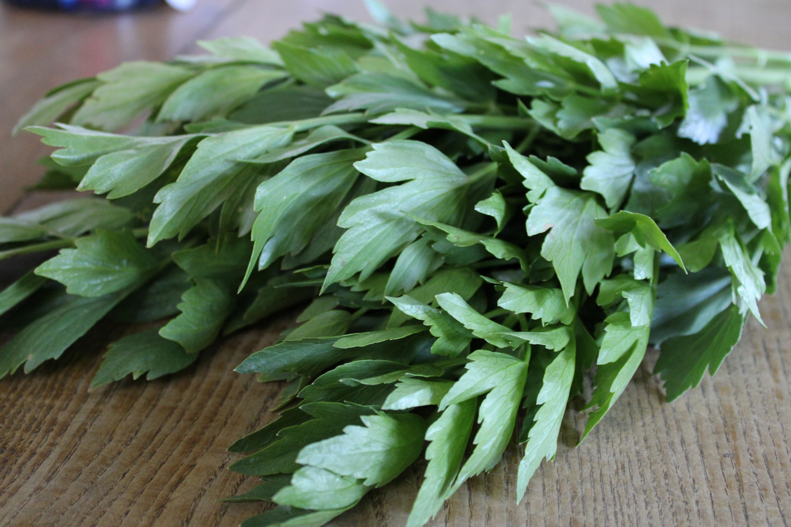 lovage Lovage